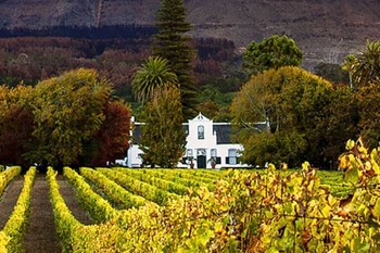 Cape Town Stellenbosch and Franschhoek Wine Tasting 01_c4c12_md.jpg
